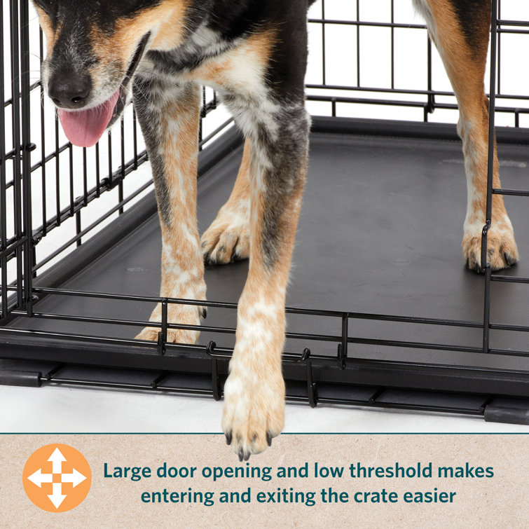 Large single 2024 door dog crate
